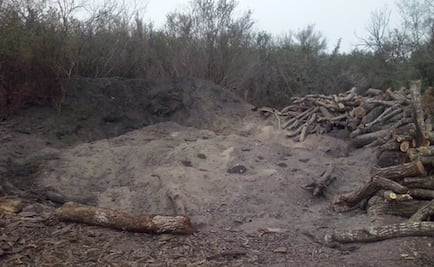 Profepa asegura 10 hornos de carbón vegetal en Tamaulipas