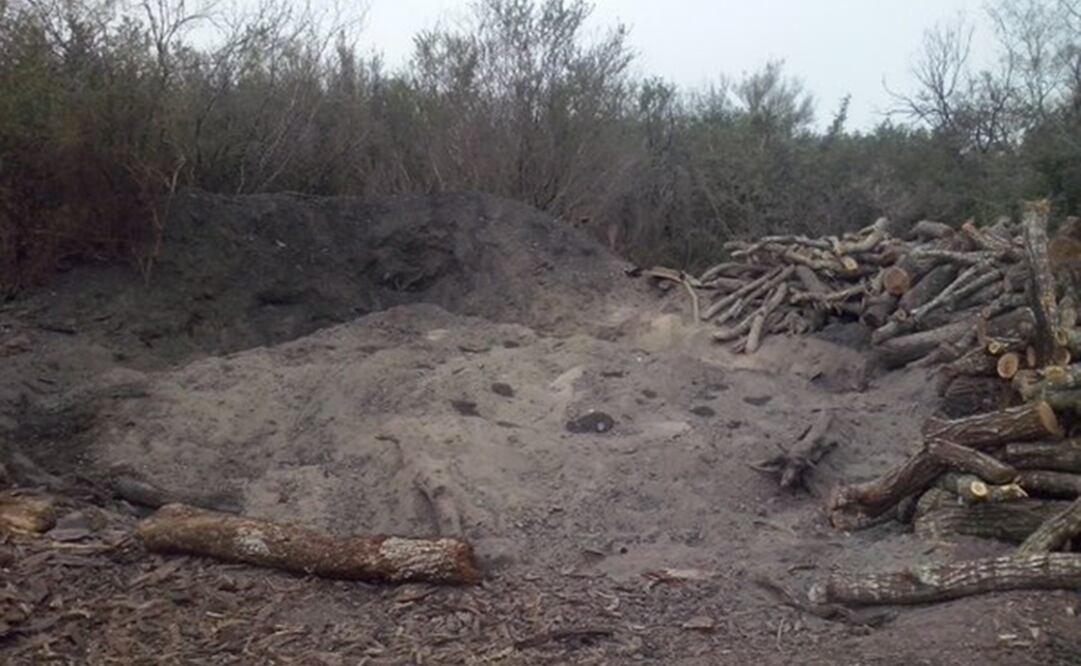 (Foto: Tomada de Twitter @PROFEPA_Mx)