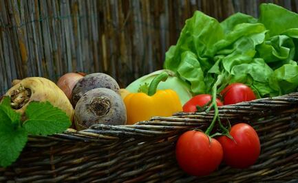 Canasta básica baja de precio con Apecic, señalan consultores de mercados agrícolas