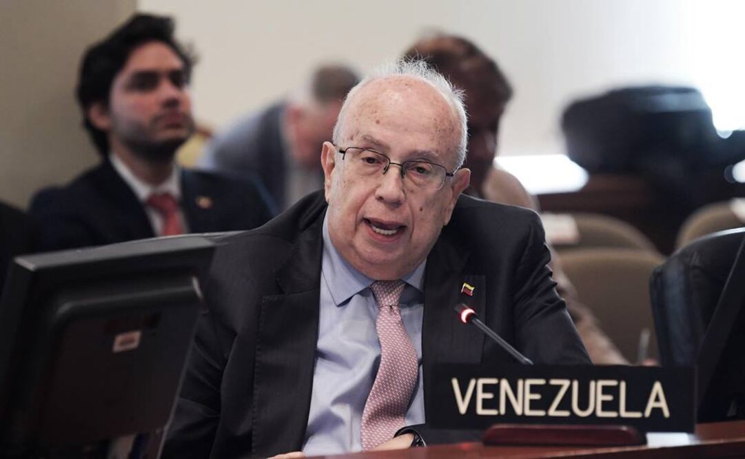 El opositor Gustavo Tarre, representante en la Organización de Estados Americanos (OEA) del líder del Parlamento venezolano, Juan Guaidó (Foto: EFE)