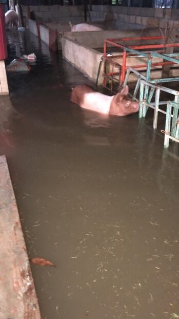 Lluvias por frente frío 9 dejan bajo el agua a Villahermosa