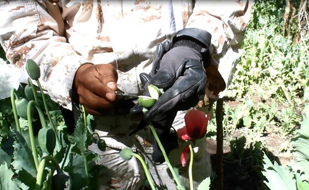 Foto: Archivo EL UNIVERSAL