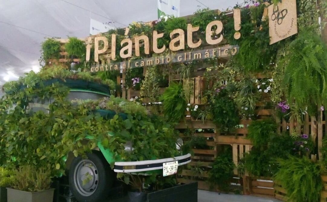 El nombre de la exposición es "Planeta contra el cambio climático". (FOTO: Conacyt)