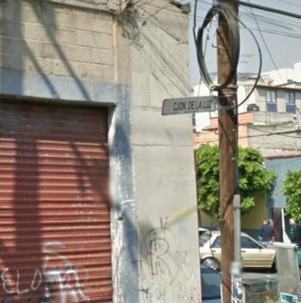 Una elefanta anduvo suelta en la ciudad