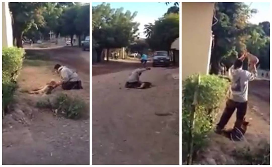 Foto: Tomada de YouTube