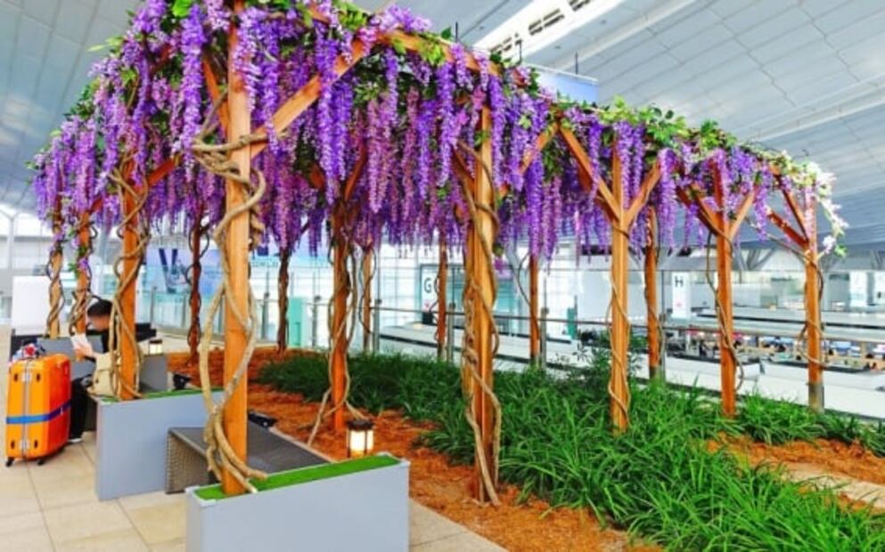 Así son los 5 mejores aeropuertos del mundo 