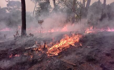 Reportan 15 incendios activos en el Edomex