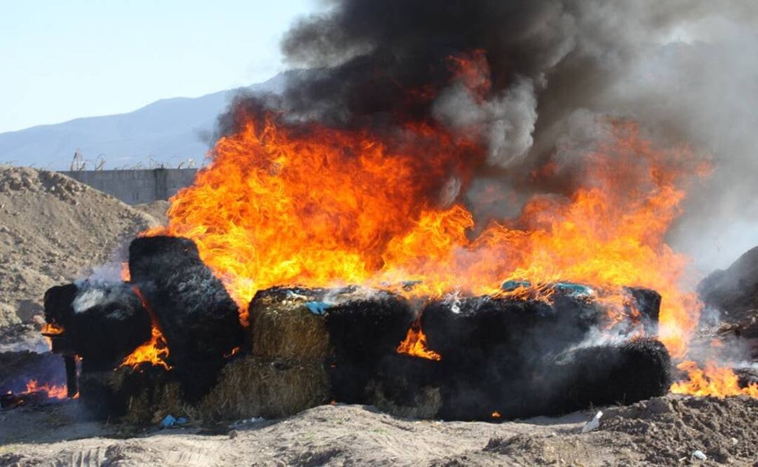 Foto: Archivo EL UNIVERSAL