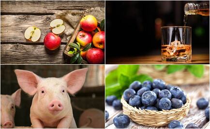 Lista de productos de EU a los que México impondrá aranceles