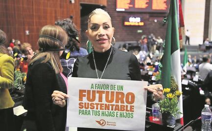 Un video y un error de voto