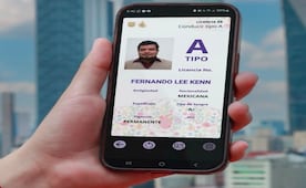 Obtén tu licencia permanente desde el celular