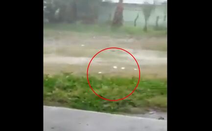 Reportan caída de granizo del tamaño de una naranja en Nuevo León