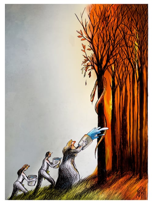 Solidaridad. Cartón de BOLIGÁN