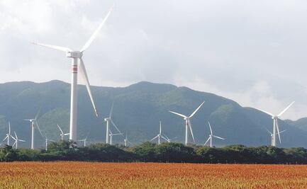 Impuestos ecológicos e infraestructura verde impulsarán PIB mundial: FMI