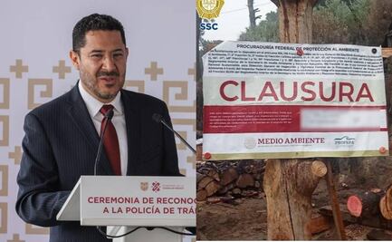 Desmantelamiento de aserraderos clandestinos en Tlalpan, gracias a mesas de diálogo con comuneros: Martí Batres