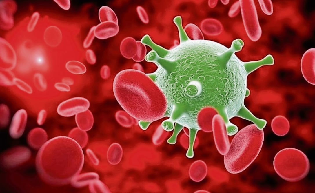 Ilustración de un microorganismo infeccioso en la sangre. Imagen: archivo