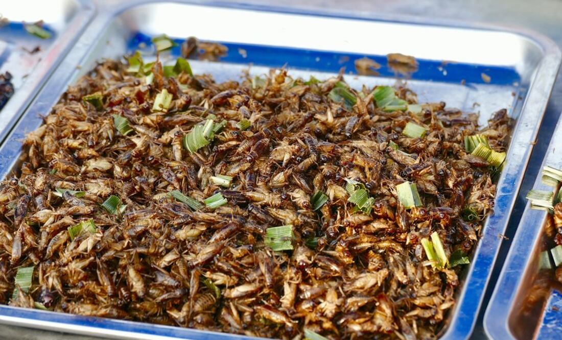 Platillos ancestrales combinados con insectos serán los protagonistas de este festival / Foto: Facebook The Roost Mx