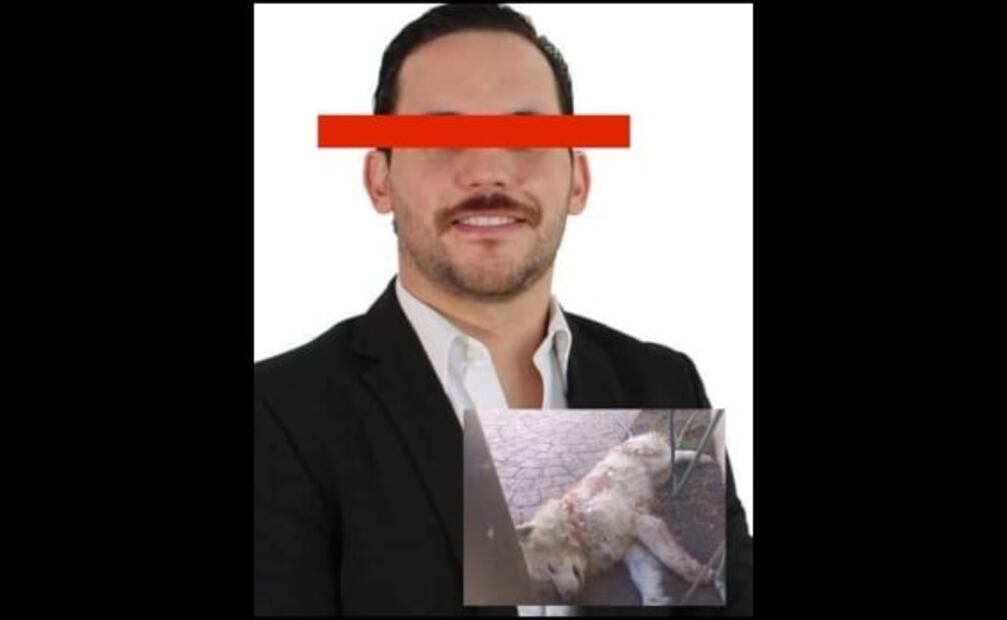 Localizan el cadáver de “Ghost”, perrito cruelmente asesinado en Coahuila