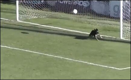 ¡Increíble!, un perro la hizo de portero en el fútbol argentino