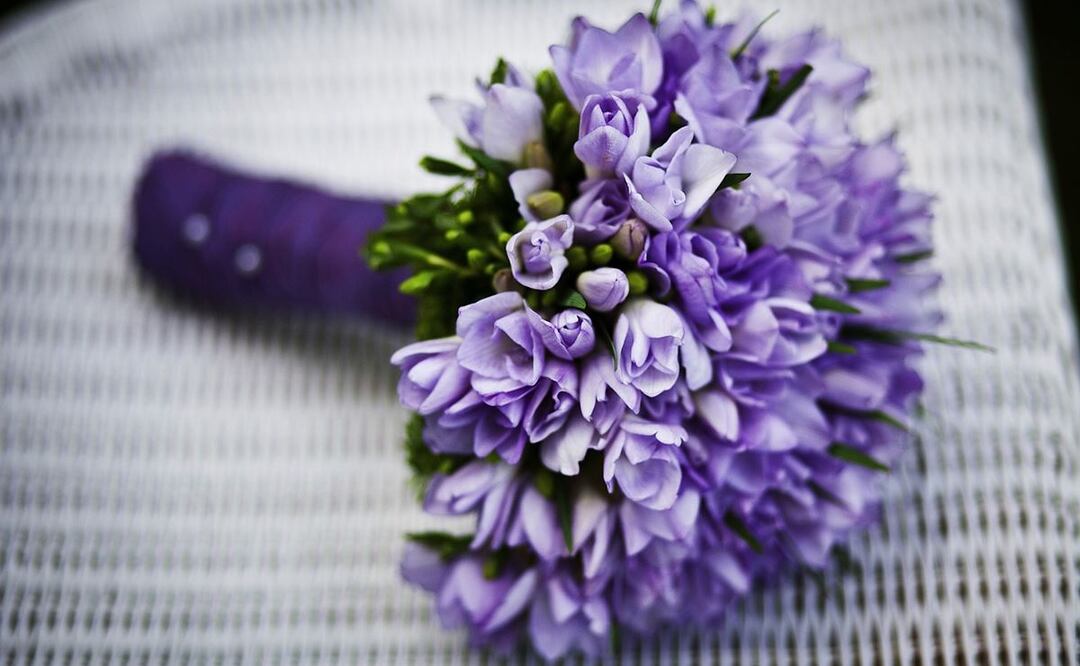 En TikTok ha surgido un nuevo reto viral de regalar flores moradas este 9 de octubre, ¿por qué?. /  Foto: Pixabay.