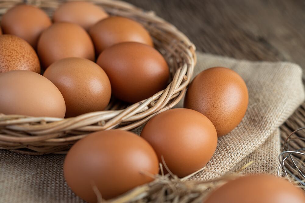 Reportan brote de salmonela en huevos de EU. Foto: Freepik