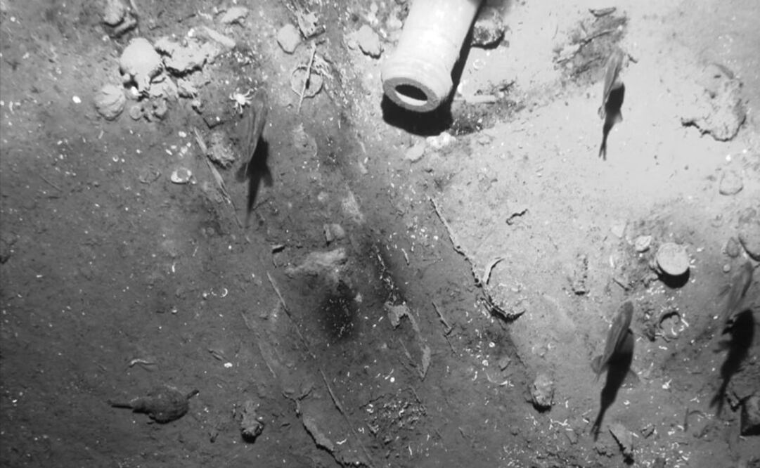 Foto: AFP / Ministerio de Cultura, Archivo