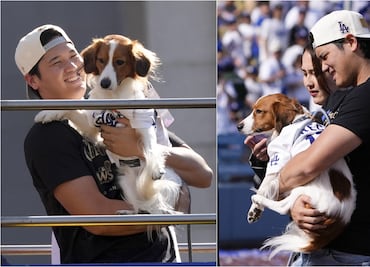 Shohei Ohtani y su famoso perro Decoy se robaron el show en el desfile de los Dodgers en Los Ángeles