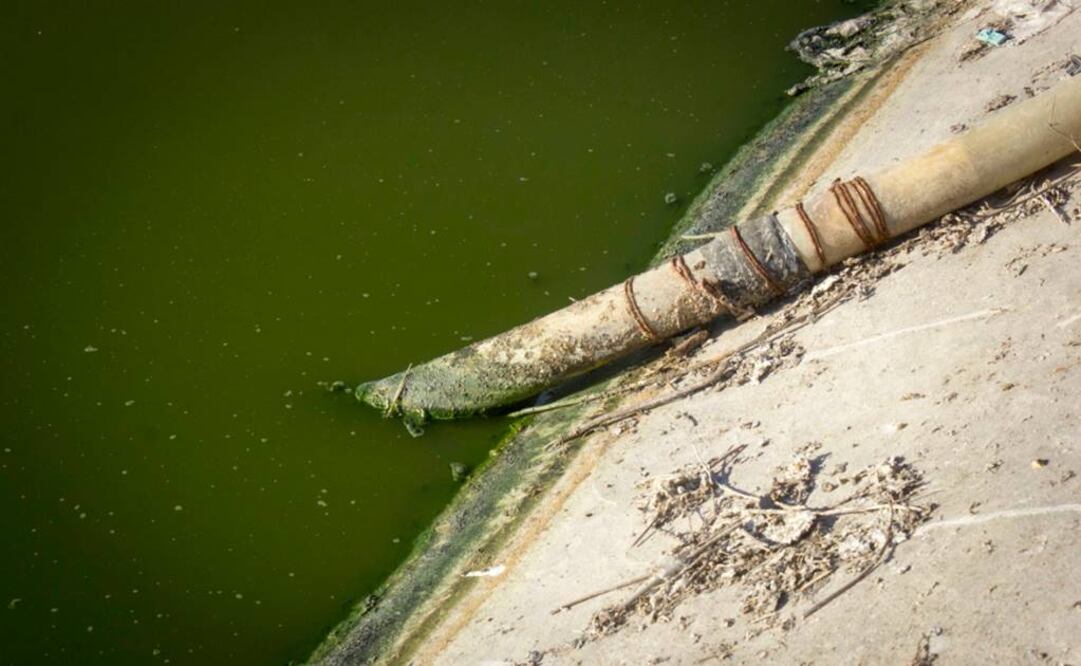 El suelo posee una alta capacidad de filtro y amortiguamiento y con ello, puede retener sales y contaminantes. Foto: Archivo