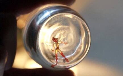 México mágico | ¿Te acuerdas de "el hada de Jalisco"?