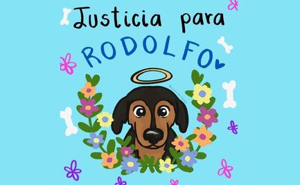Caso de “Rodolfo Corazón” llega la mañanera; AMLO pide educar en la no violencia contra los animales