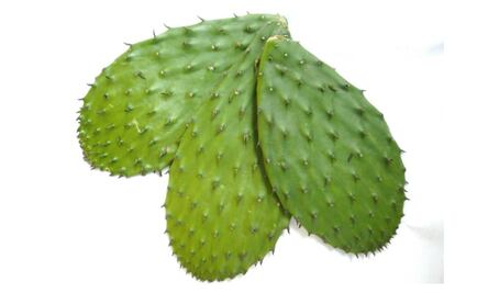 El sabor más mexicano