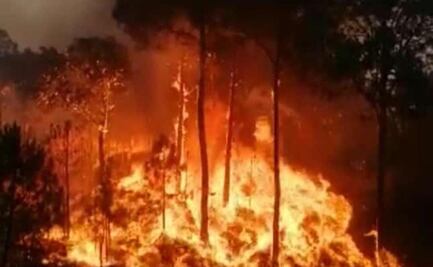 Arde Cerro de la Cruz en Uruapan, Michoacán