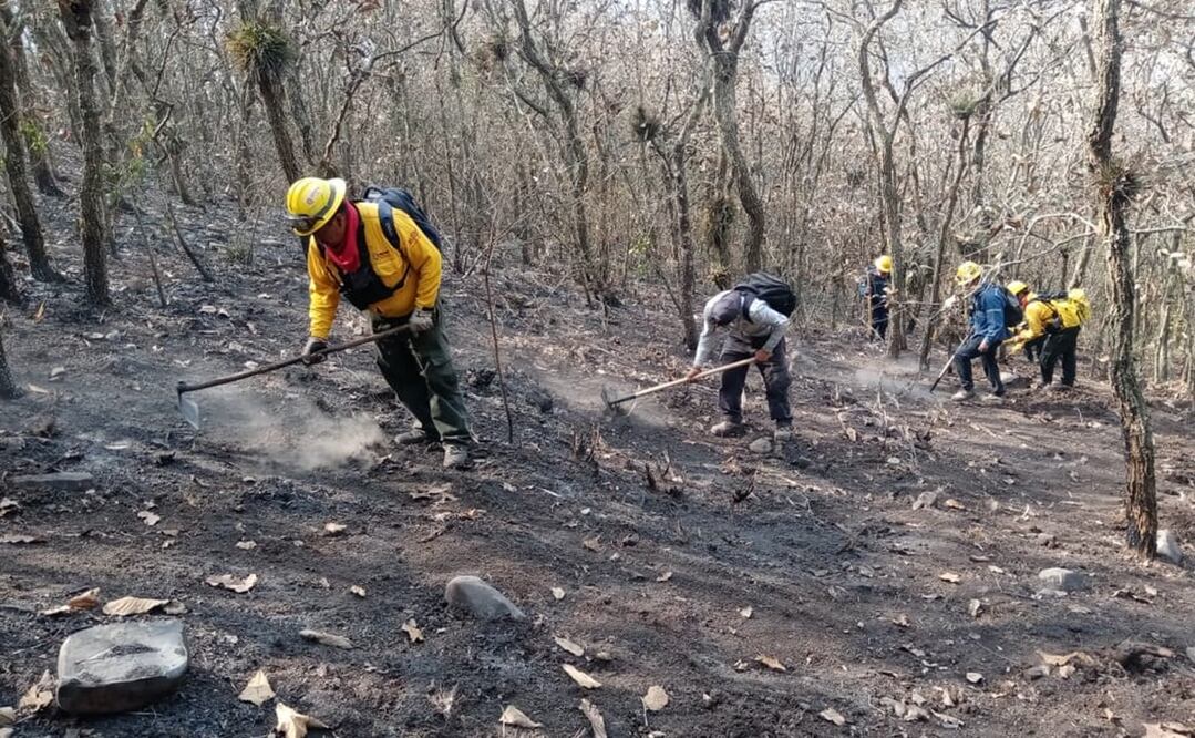 Foto: Secretaría de Protección Civil de Veracruz
