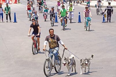 Peatones y Ecobici dan ganancias por 65 mdd