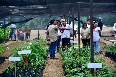 AMLO promete que programas sociales no se quedarán en el escritorio