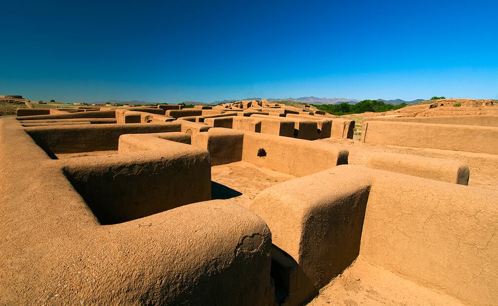 Foto: Cortesía Ah Chihuahua