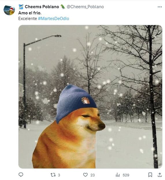 Frente frío 16 meme. Foto: X