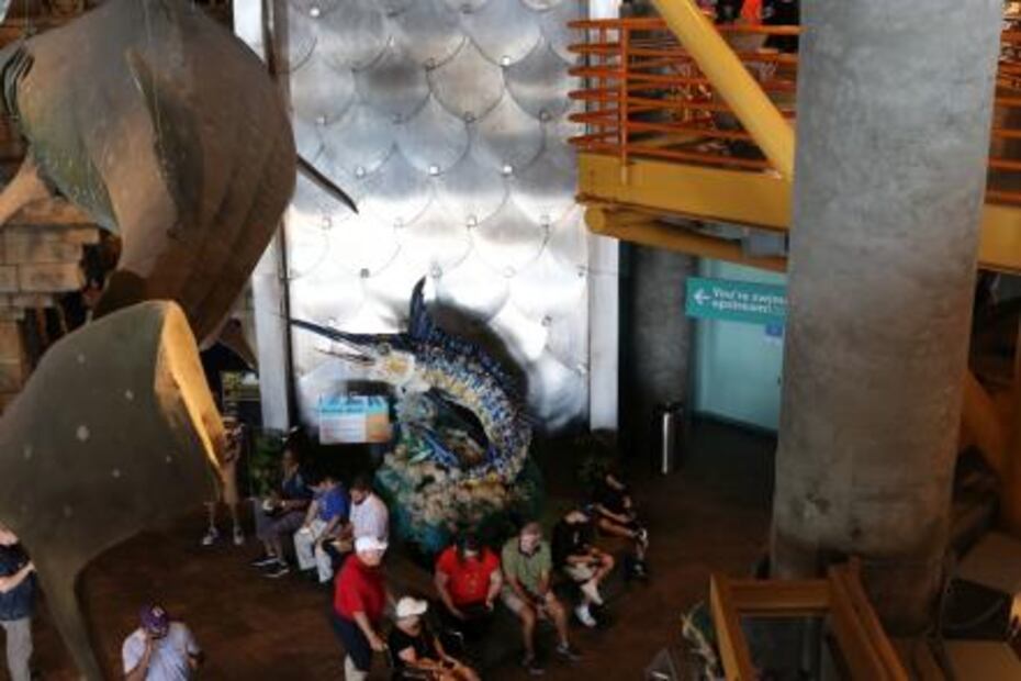 Artista crea esculturas con basura del mar