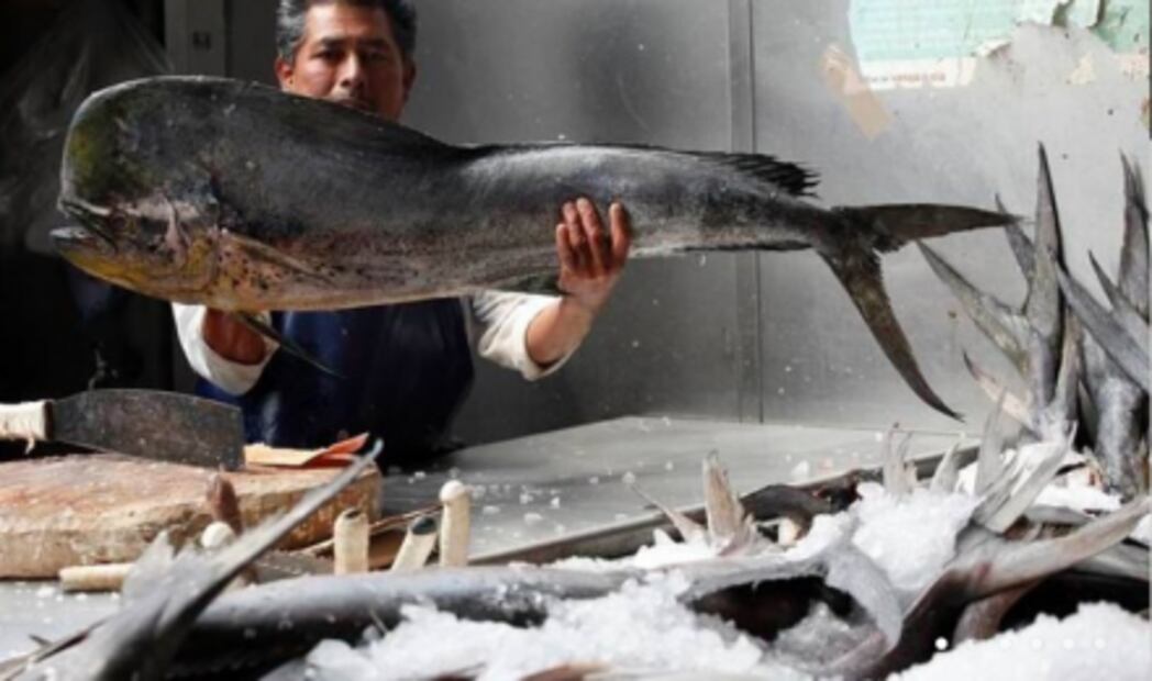 ¿Dónde comprar mariscos en la CDMX?