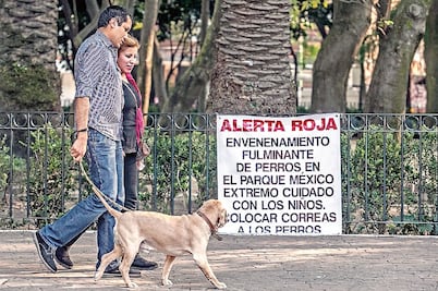 Envenenaron a perros por error; iban por plagas: PGJDF