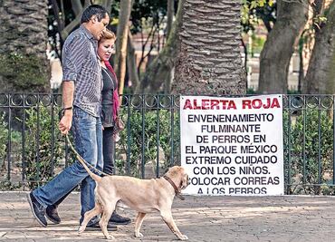 Envenenaron a perros por error; iban por plagas: PGJDF