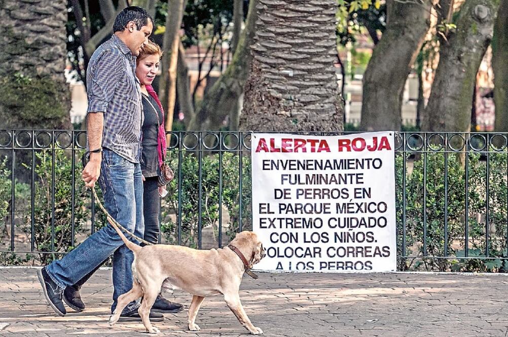 Expertos analizan si el raticida que mató a una docena de perros fue diseminado mediante fumigación o si sembraron comida con veneno (ARCHIVO EL UNIVERSAL)