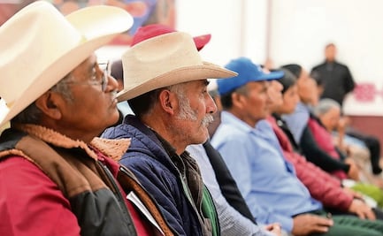 Ante pérdidas de cultivos, han otorgado 40 mdp