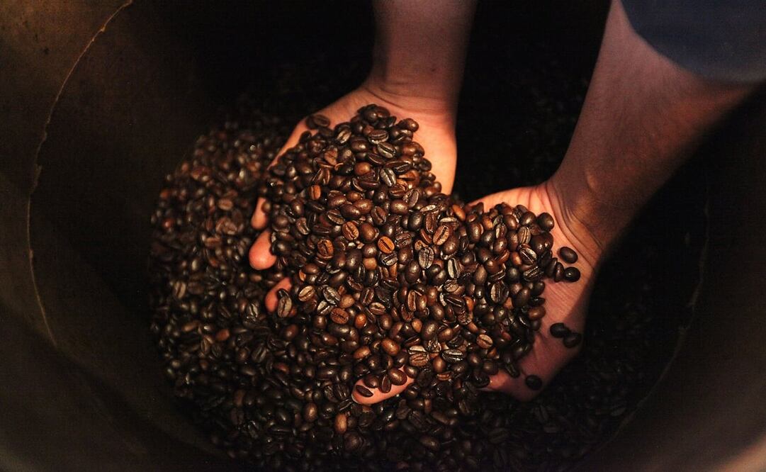 Foto: Archivo El Universal