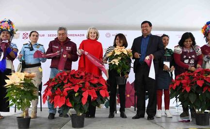 Inauguran Festival de Flores de Nochebuena en Paseo de la Reforma