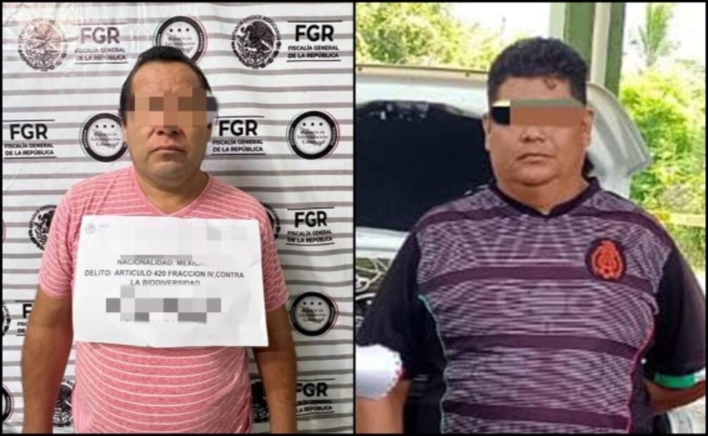 Juez impone trabajos comunitarios a dos hombres por transportar ilegalmente huevos de tortuga en Chiapas