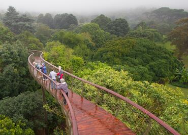 El nuevo puente que se retuerce como serpiente