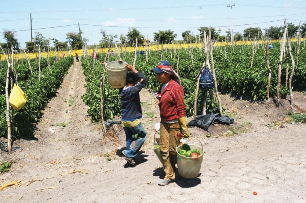 La necesidad económica hace que los migrantes internos posterguen la enseñanza de sus hijos, indican legisladores del PRI (ARCHIVO EL UNIVERSAL)