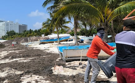 Huracán Beryl: resguardan embarcaciones pesqueras y turísticas en Cancún