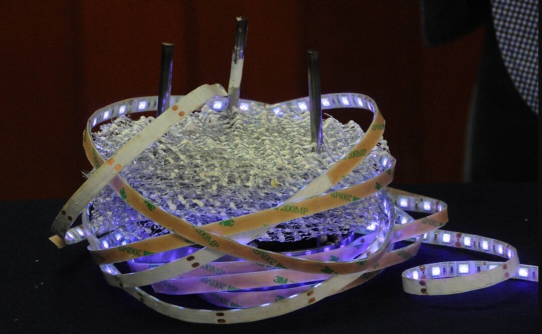 Photo: Taken from UNAM's DGCS website